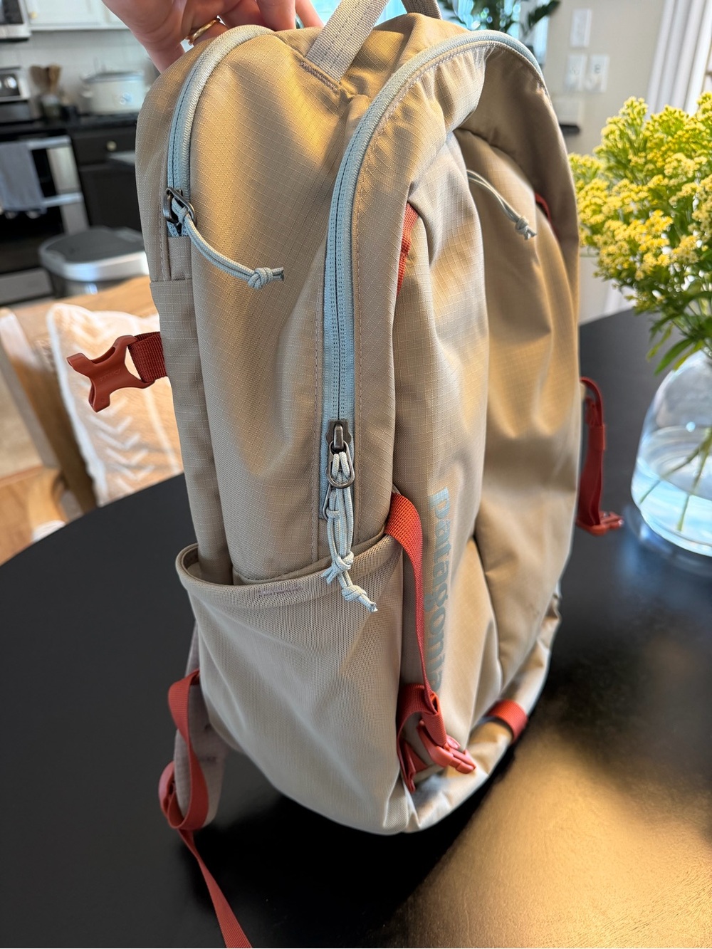Patagonia Backpack - Picture 3 of 6